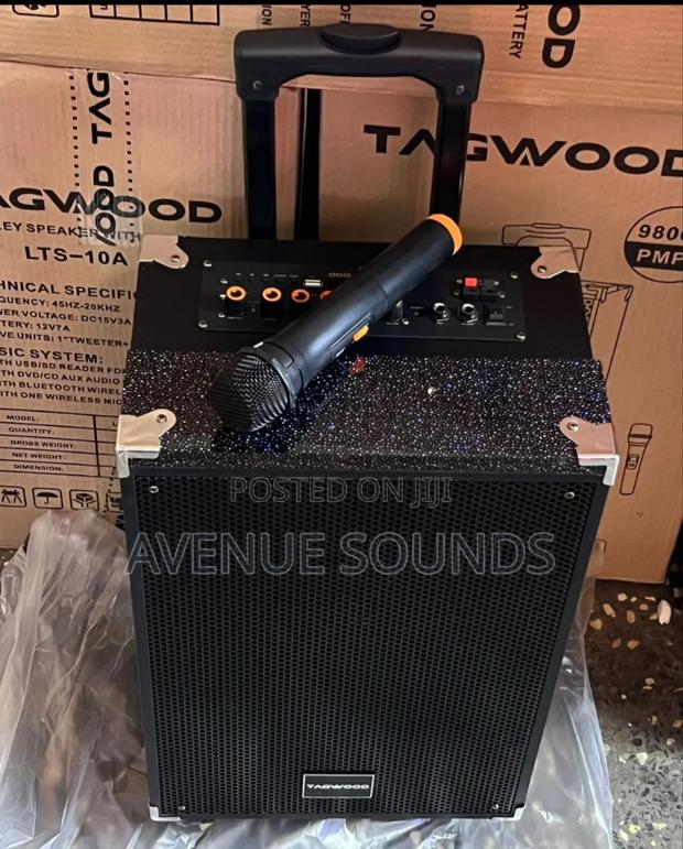 Tagwood 10inch Powered Portable Speaker