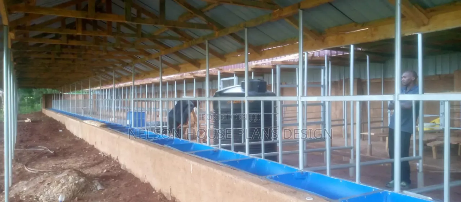 Modern Zero Grazing Units Design Plans Kenya