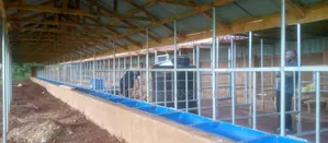 Modern Zero Grazing Units Design Plans Kenya