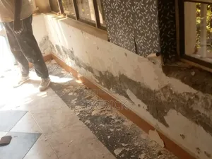 Interior and Exterior Painting
