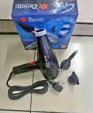 Professional Blow Dryer