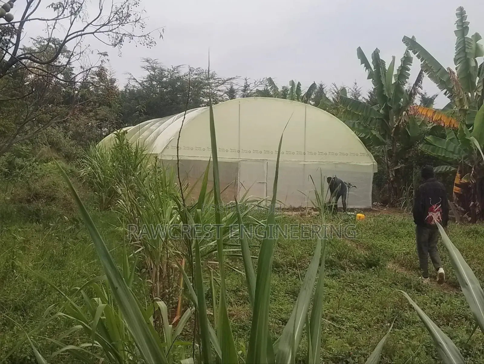 Greenhouse Construction And Irrigation Services
