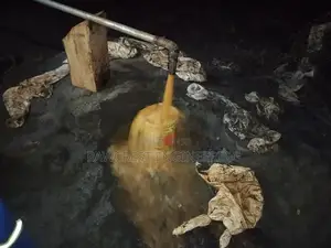 Borehole Drilling Services