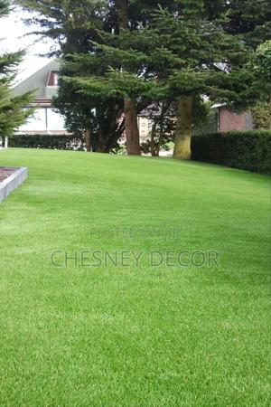 Year-Round Turf - thumbnail 2