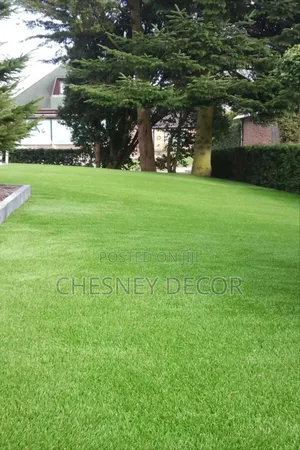 Year-Round Turf