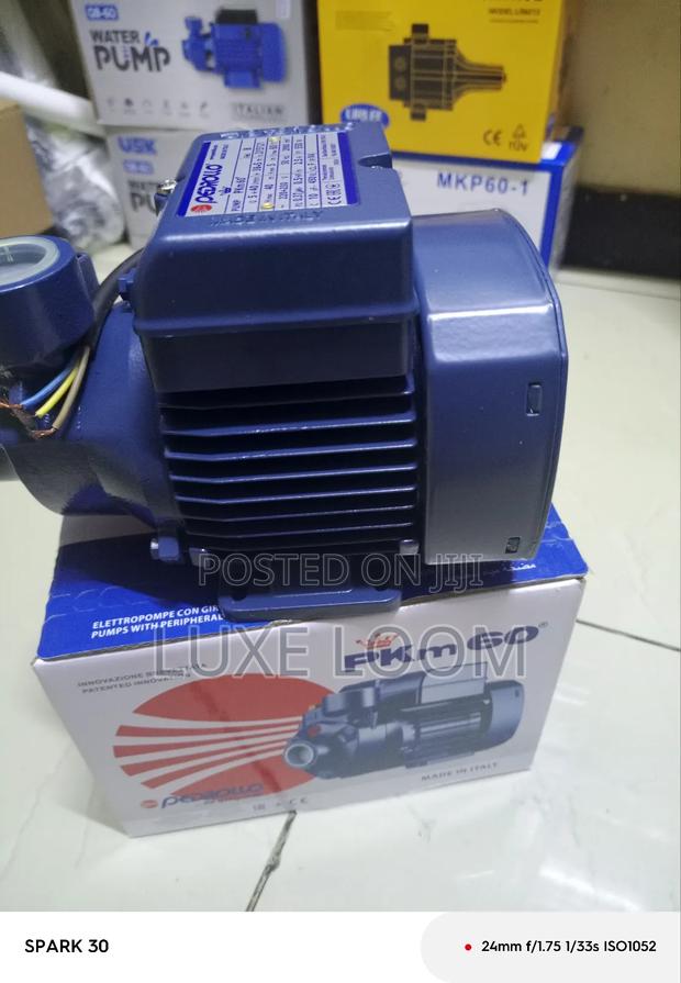 0.5hp Water Pump/ Pedrollo Water Pump