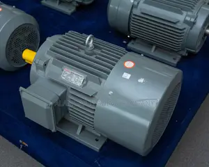30hp Electric Motor Three Phase
