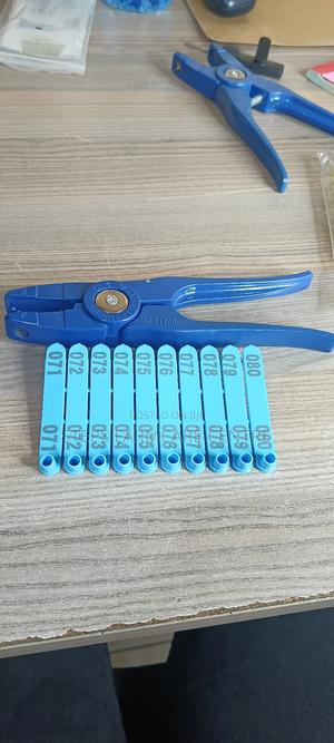 C-Tag Applicator - main view