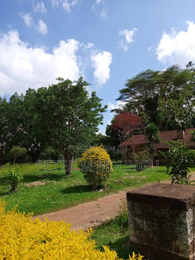 Prime Plot 0.5 Acre for JV - thumbnail 8