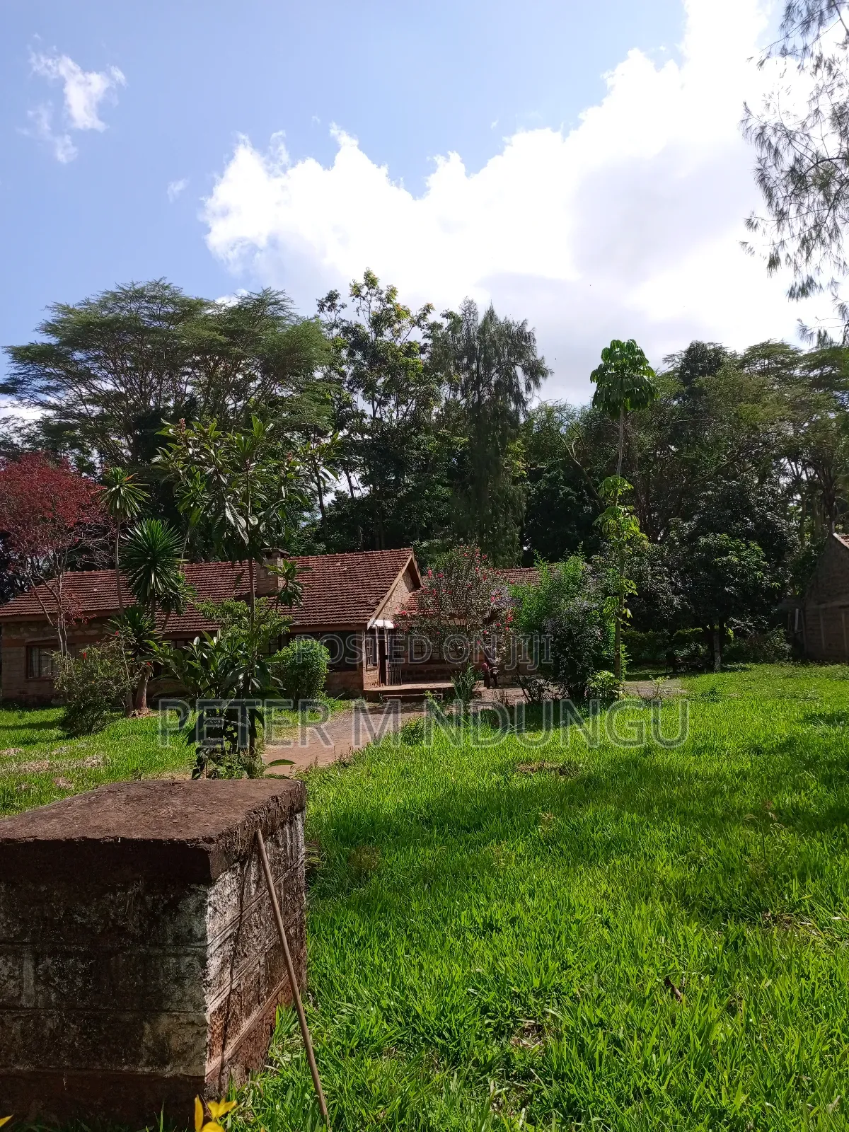 Prime Plot 0.5 Acre for JV