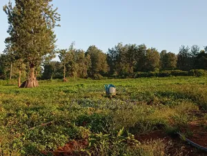 Land for Sale Maragua Pioneer