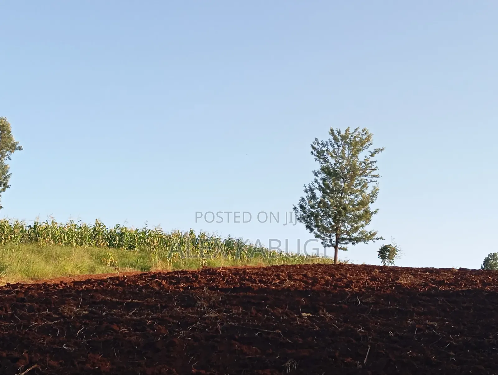 Land for Sale Maragua Pioneer