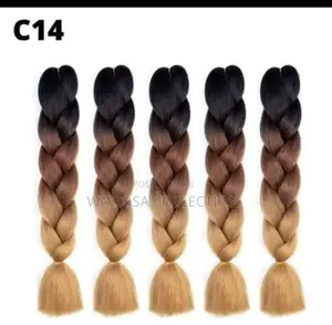 Ombre Braids for Adult