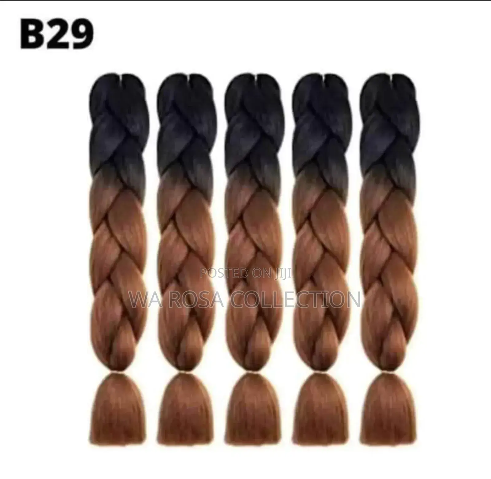 Ombre Braids for Adult