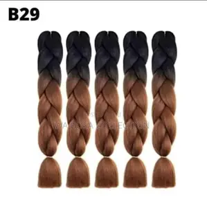 Ombre Braids for Adult