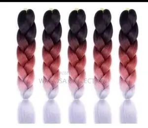 Ombre Braids for Adult