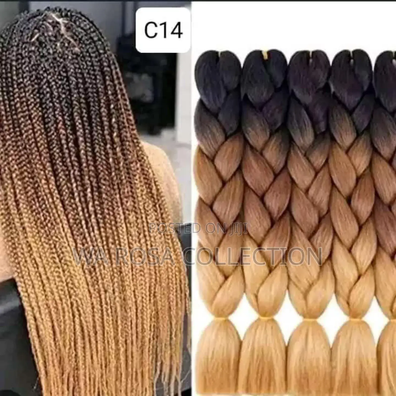 Ombre Braids for Adult
