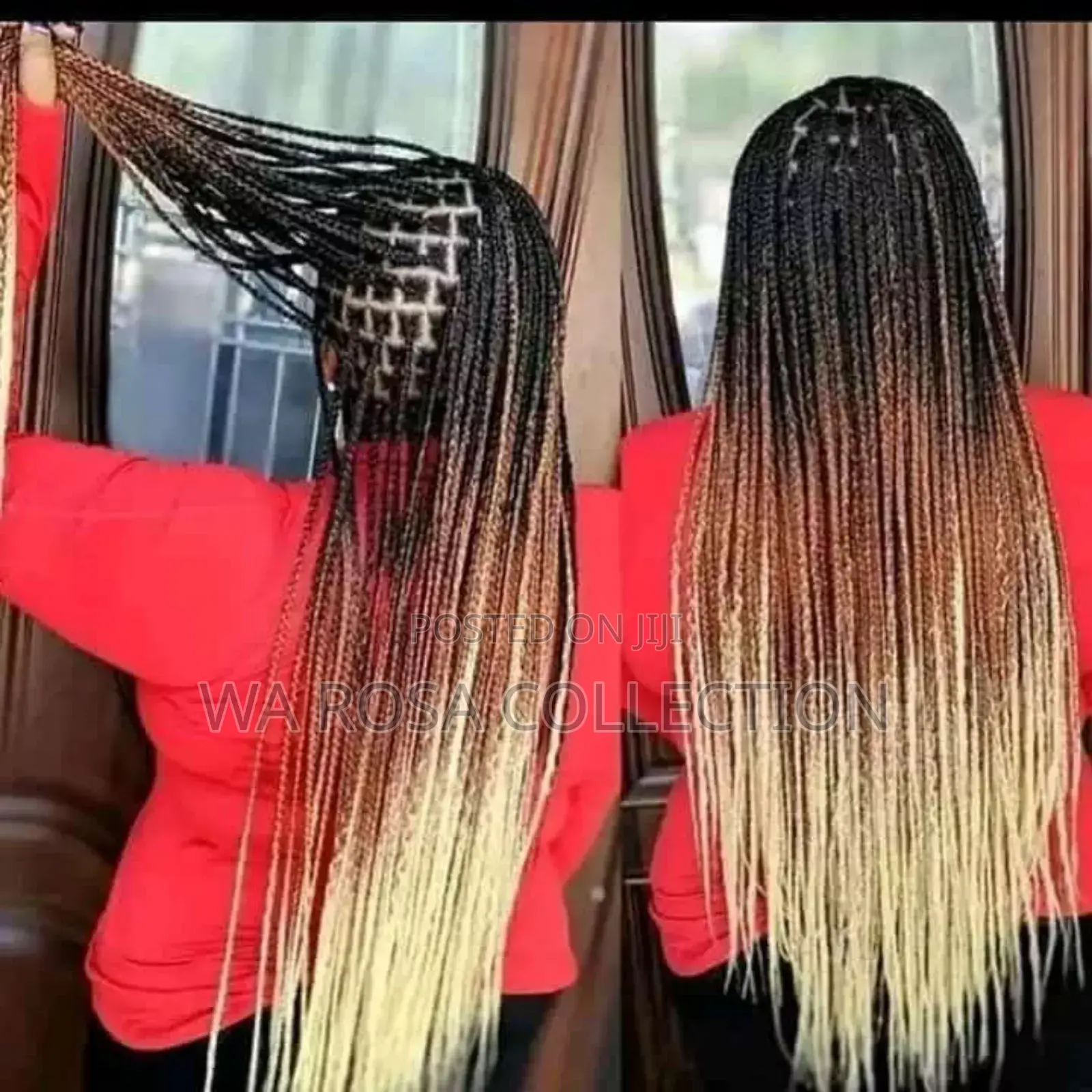 Ombre Braids for Adult