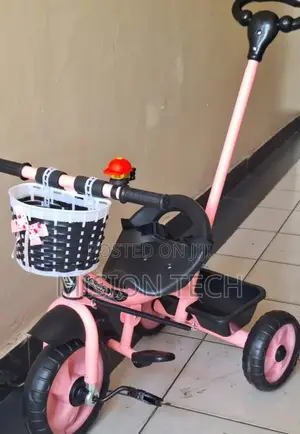 Tricycle With Push Handle 