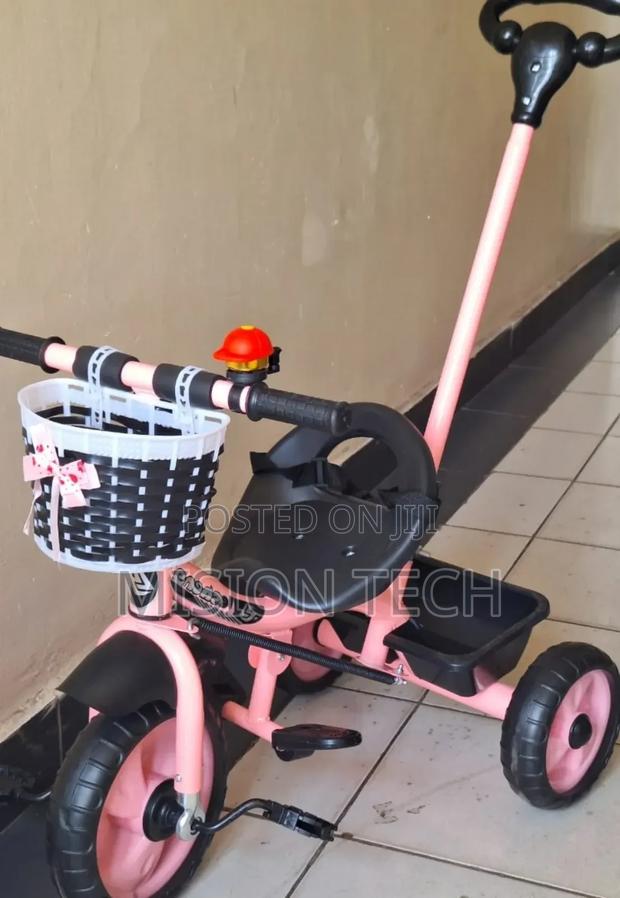 Tricycle With Push Handle - main view