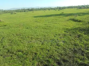 Prime Land for Sale Kisumu Buoye- 1.53acre or 0.62 Ha