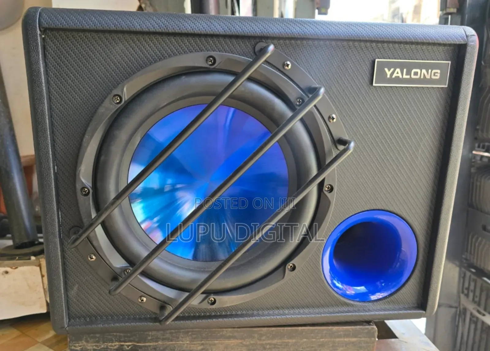 10 Inch Amplified Subwoofer