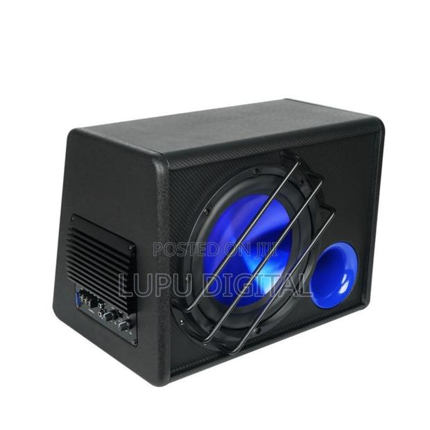10 Inch Amplified Subwoofer - thumbnail 3
