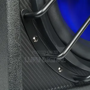 10 Inch Amplified Subwoofer