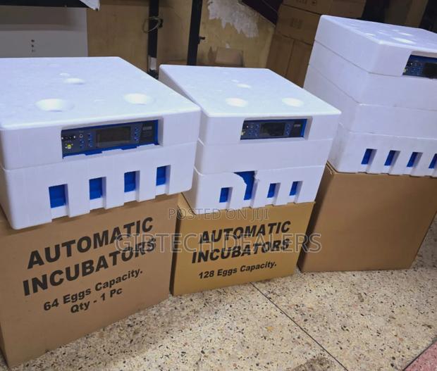64 Eggs Automatic Egg Incubator