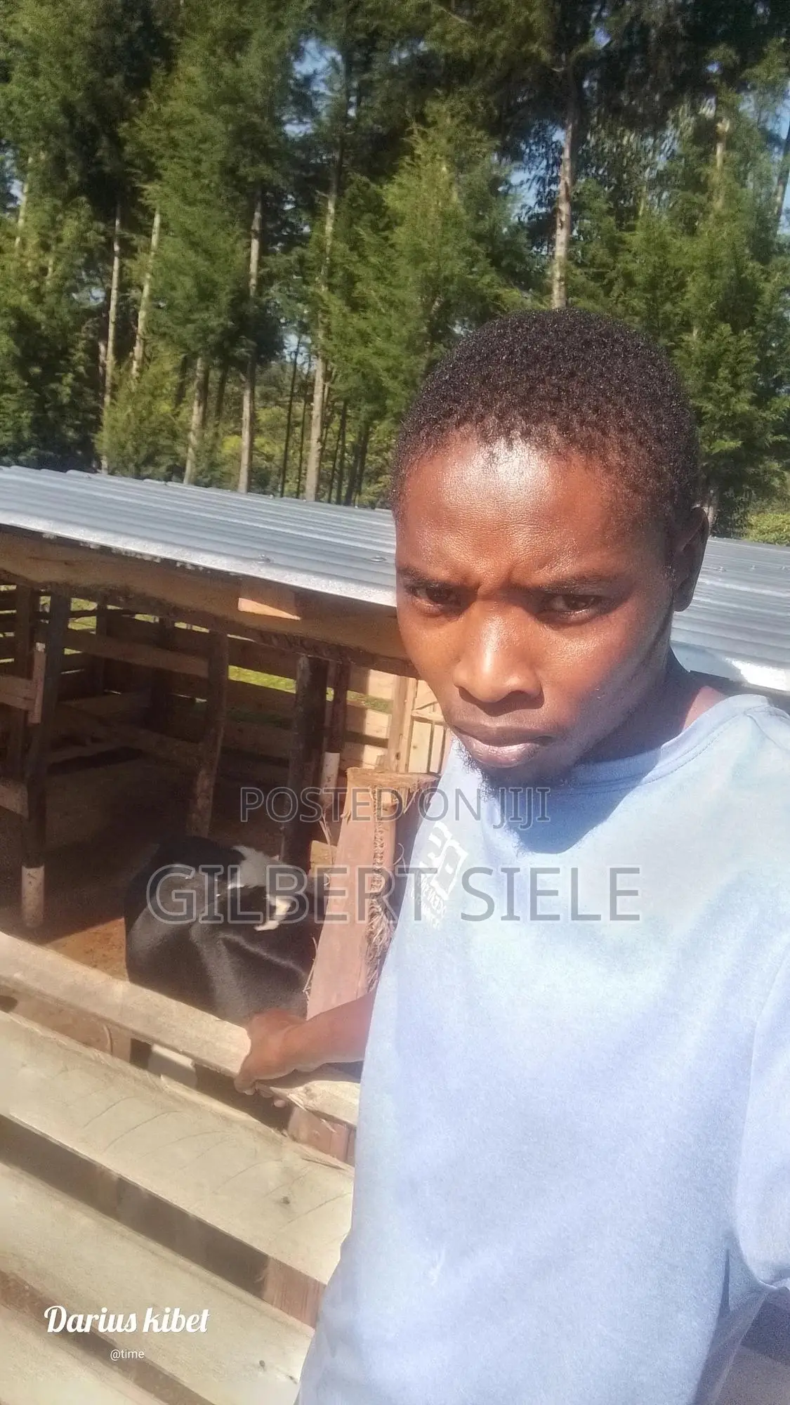 Manual Labour CV