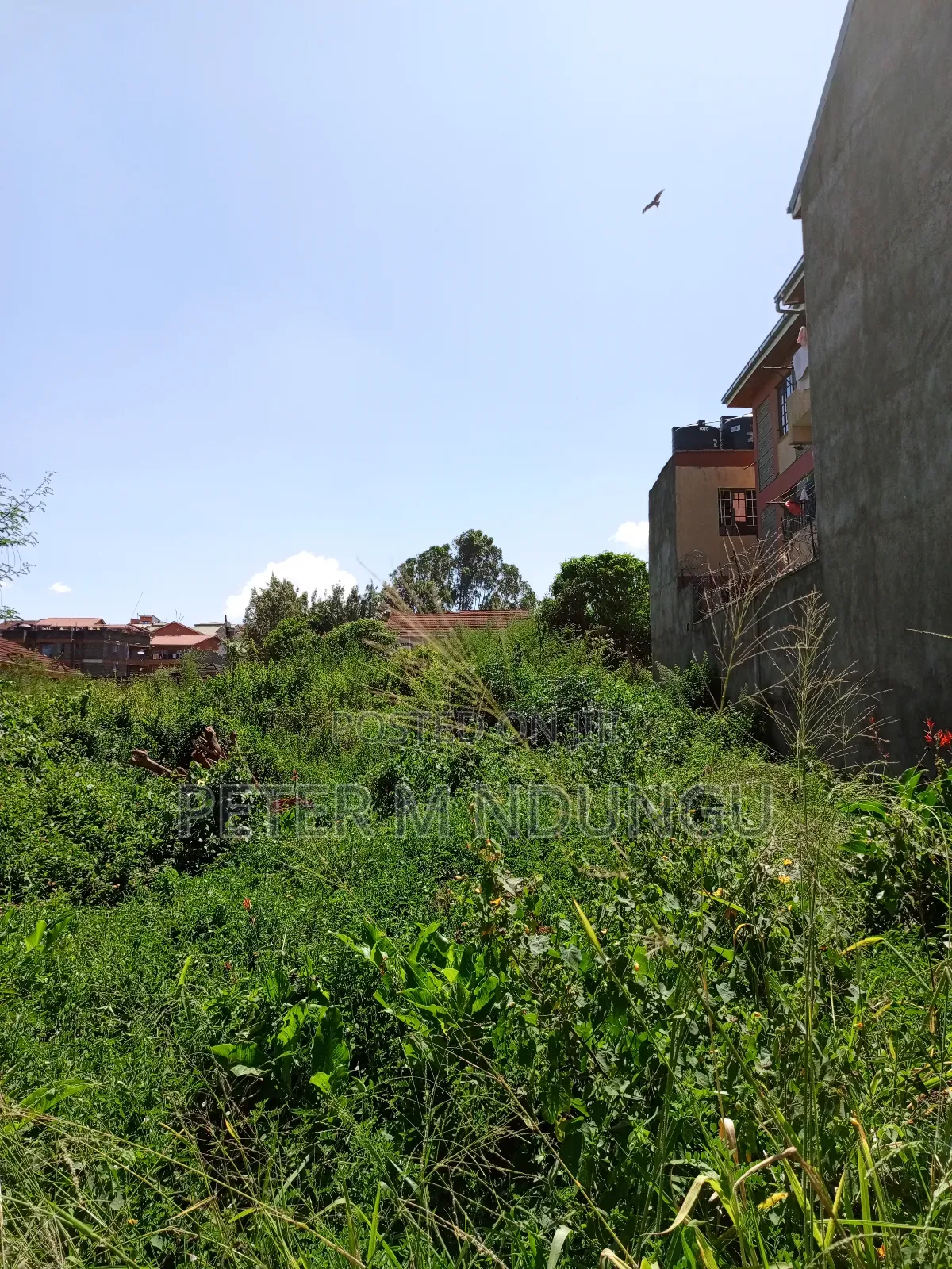 Prime Land on Sale, 1/2 Acre, Off Mirema Drive