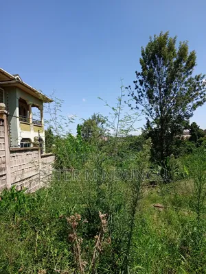 Prime Land on Sale, 1/2 Acre, Off Mirema Drive