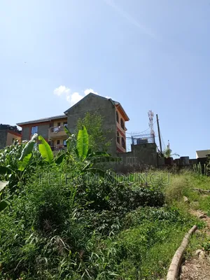 Prime Land on Sale, 1/2 Acre, Off Mirema Drive
