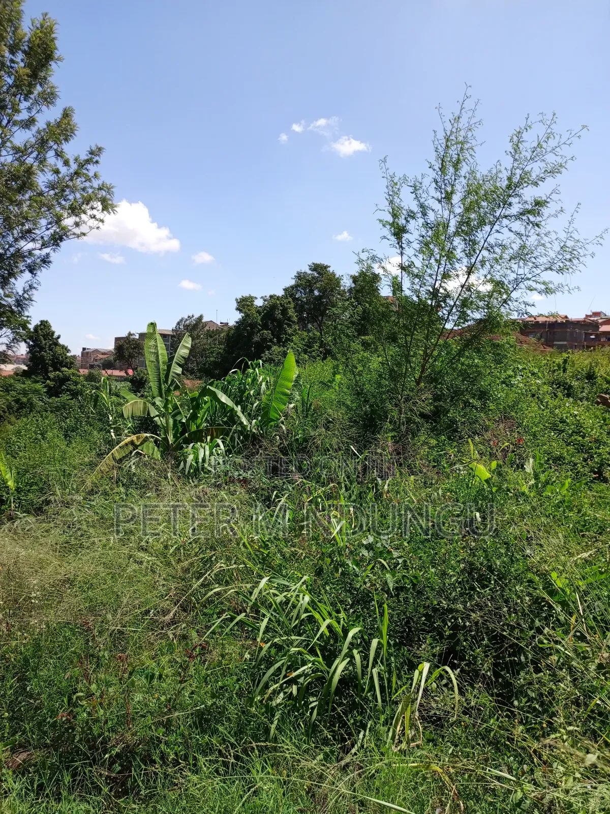 Prime Land on Sale, 1/2 Acre, Off Mirema Drive