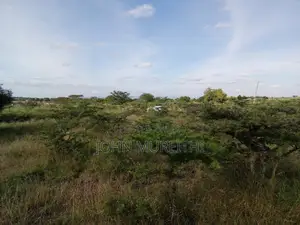 50* 100 Plot for Sale Kitengela, Acacia