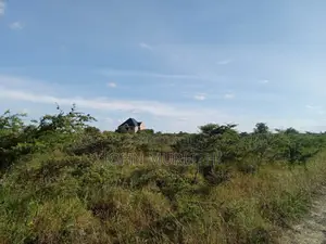 50* 100 Plot for Sale Kitengela, Acacia