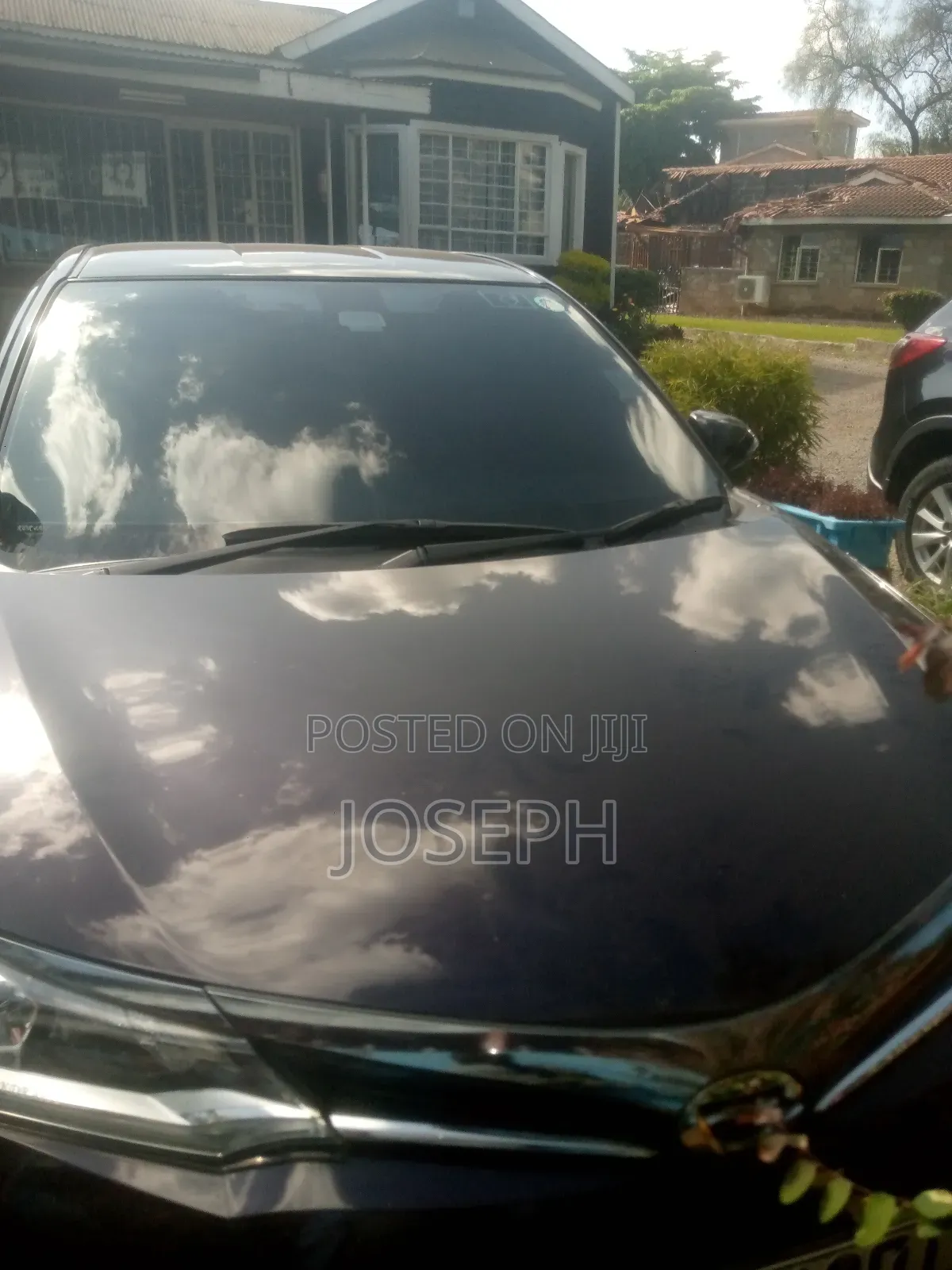 Executive Tint