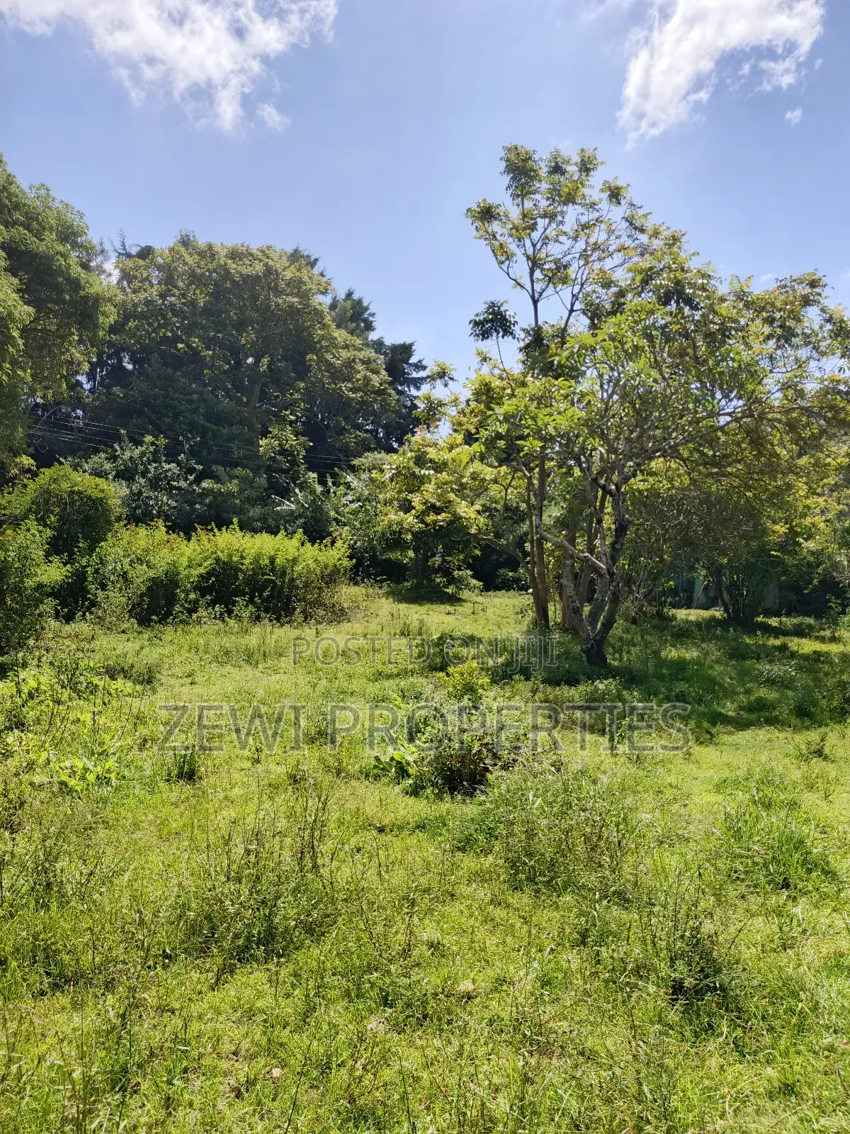 One Acre Karen