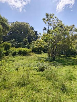 One Acre Karen - thumbnail 2