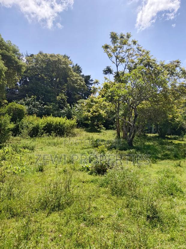 One Acre Karen - main view