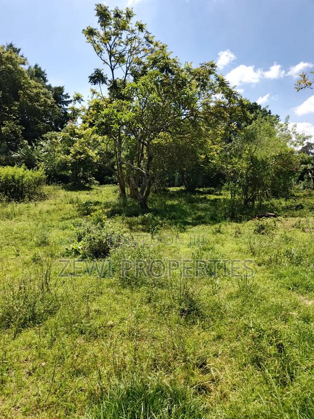 One Acre Karen - thumbnail 6