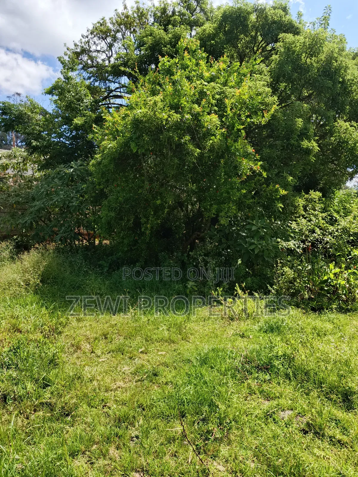 One Acre Karen