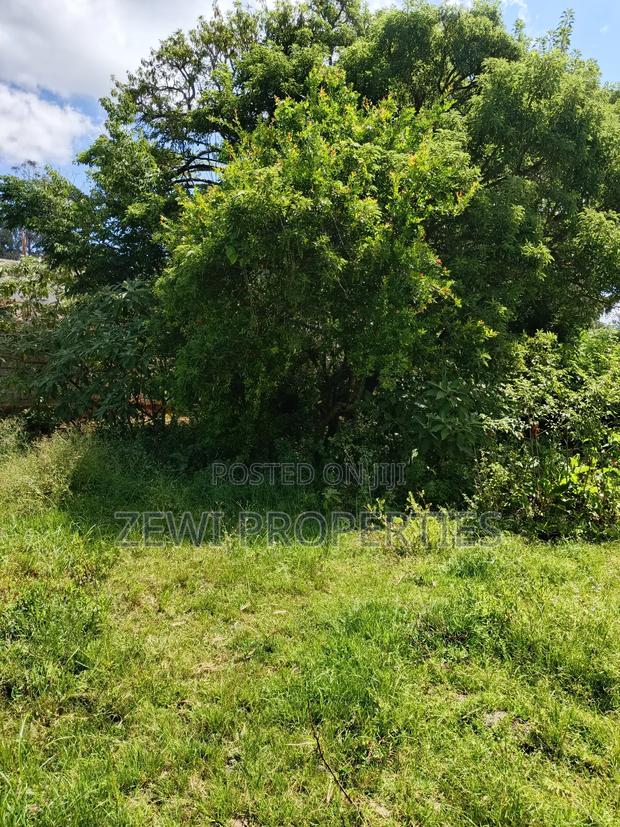 One Acre Karen - thumbnail 7