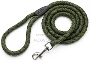 Dog Leash / Harness With Collar