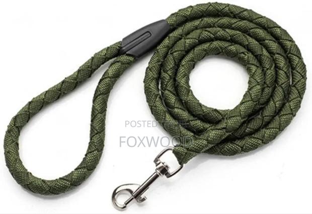 Dog Leash / Harness With Collar - thumbnail 6