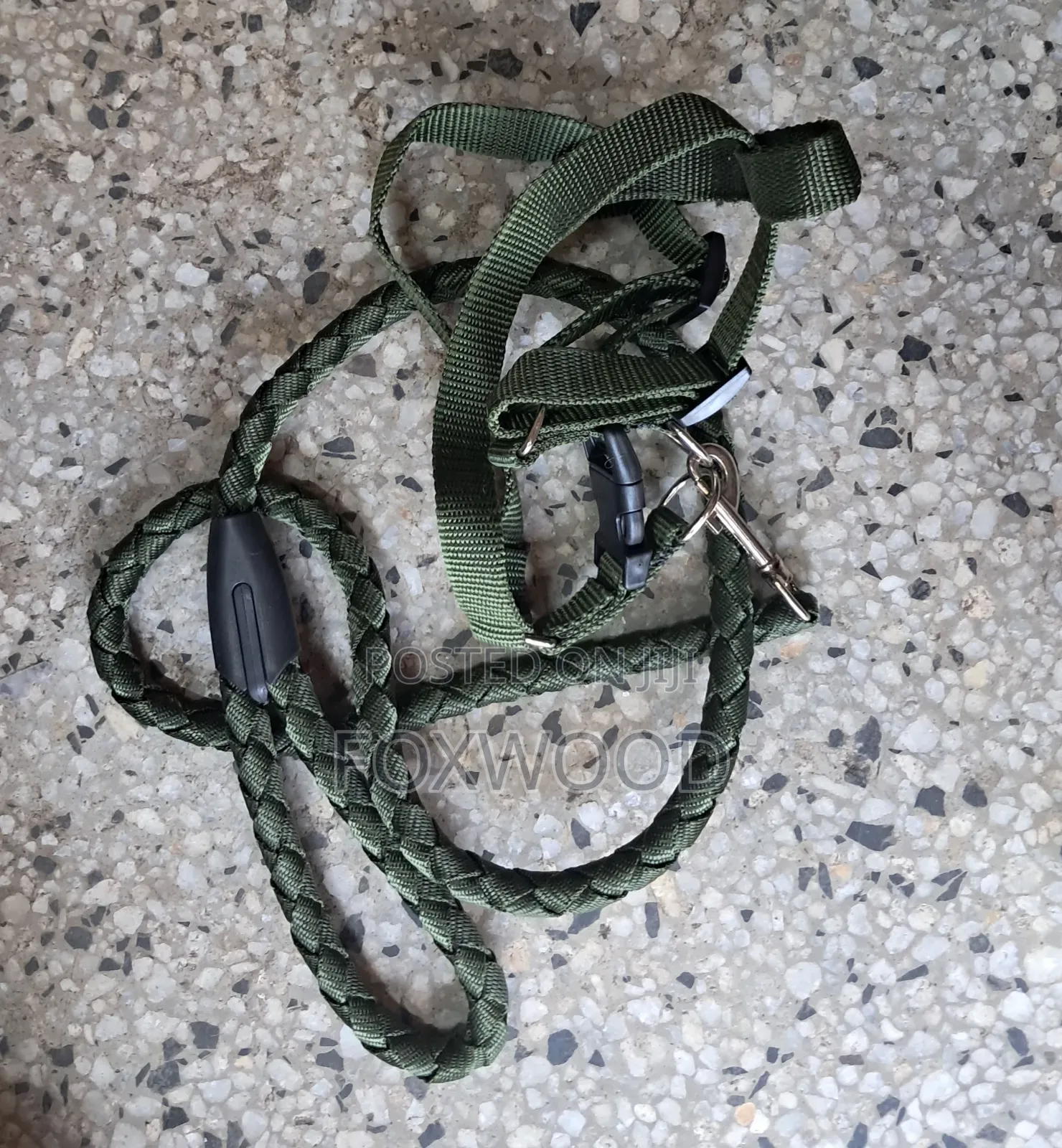 Dog Leash / Harness With Collar