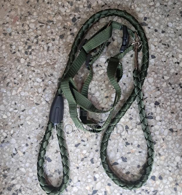 Dog Leash / Harness With Collar - thumbnail 10