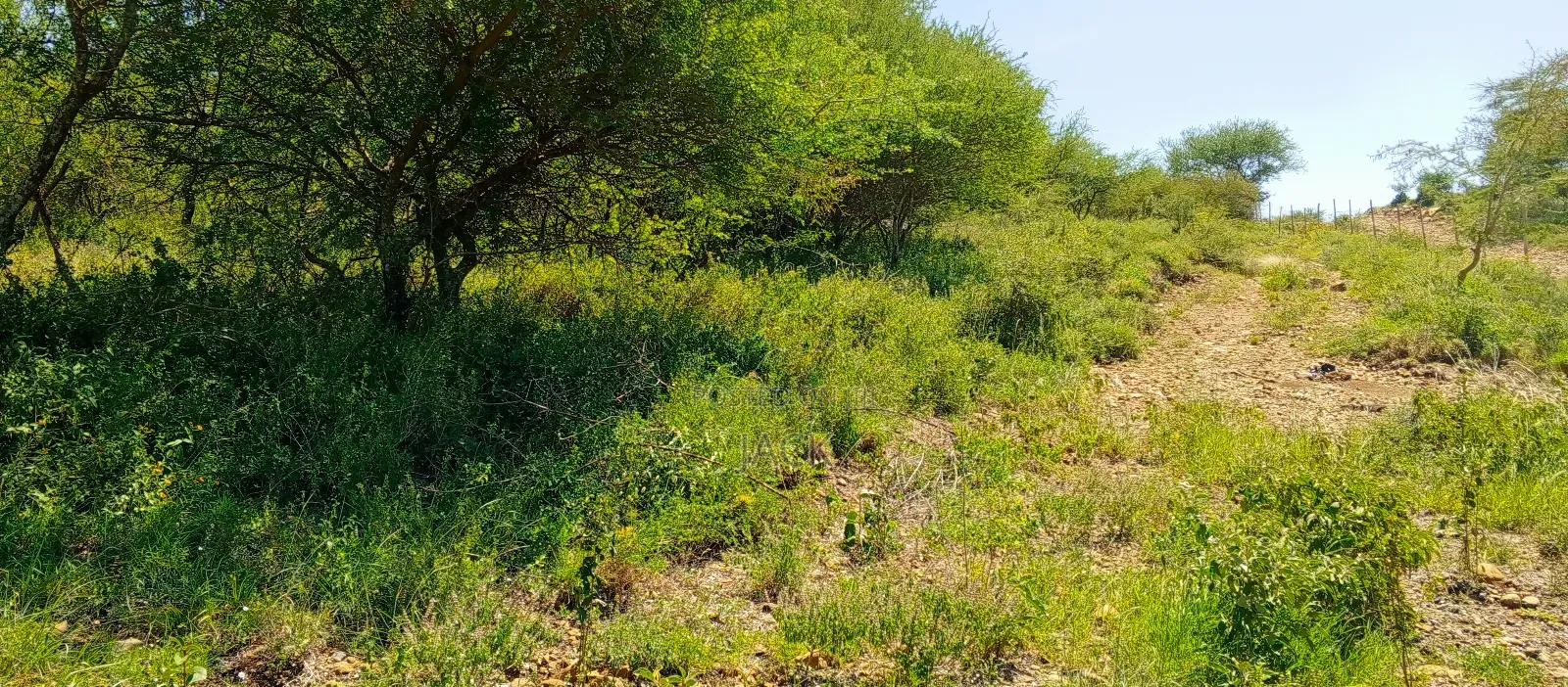 1 Acre for Sale - Kisamis, Corner Baridi
