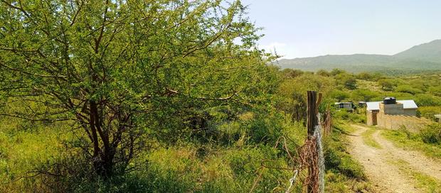 1 Acre for Sale - Kisamis, Corner Baridi - thumbnail 6