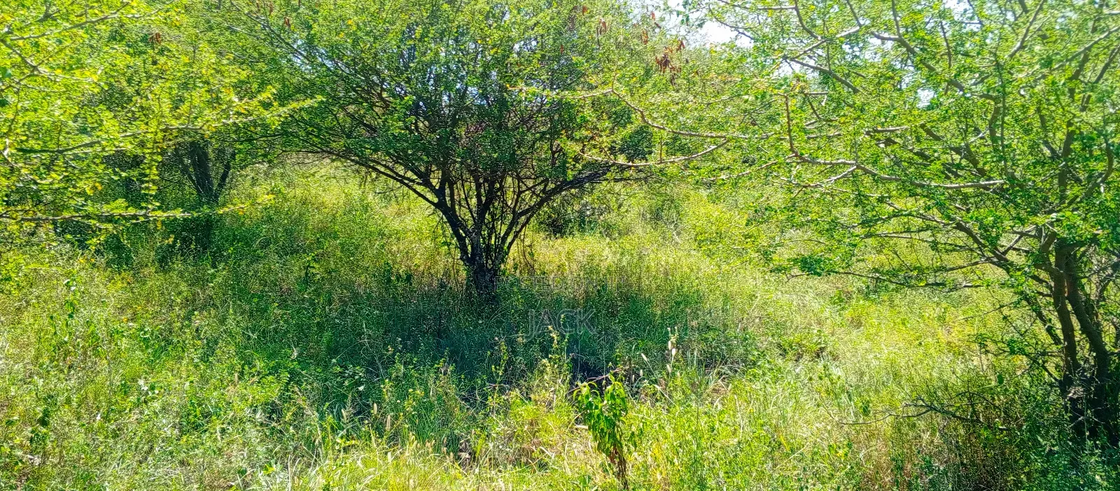 1 Acre for Sale - Kisamis, Corner Baridi